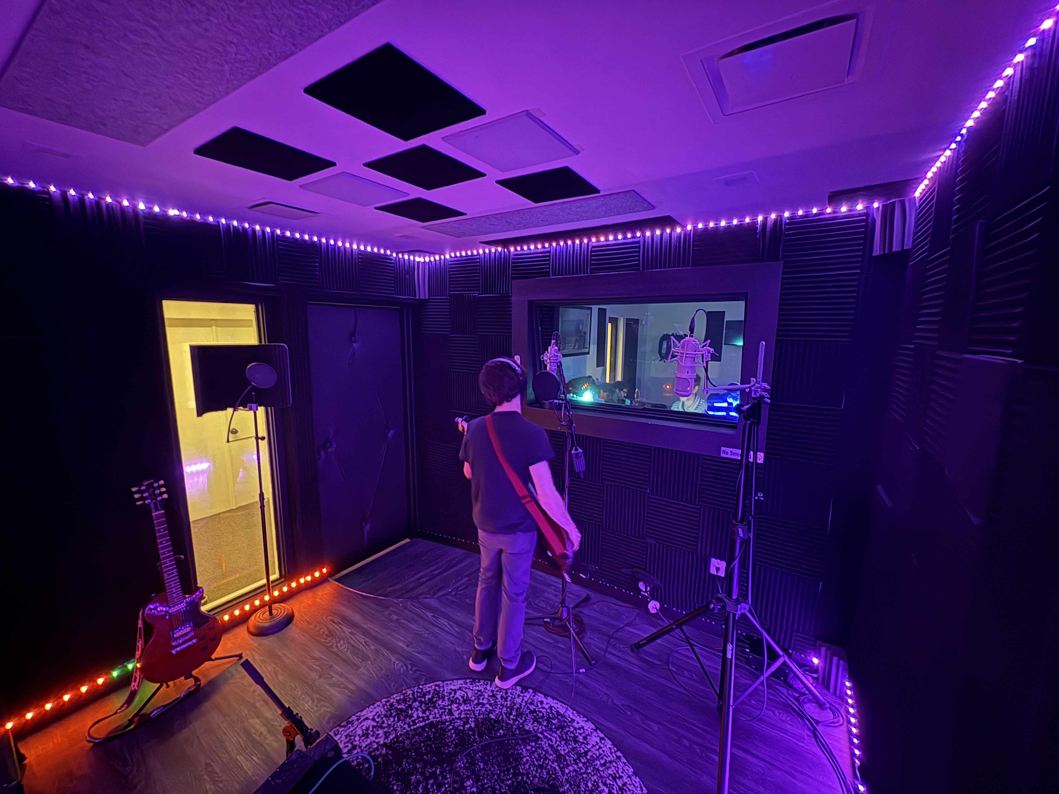 Professional Microphone Setup